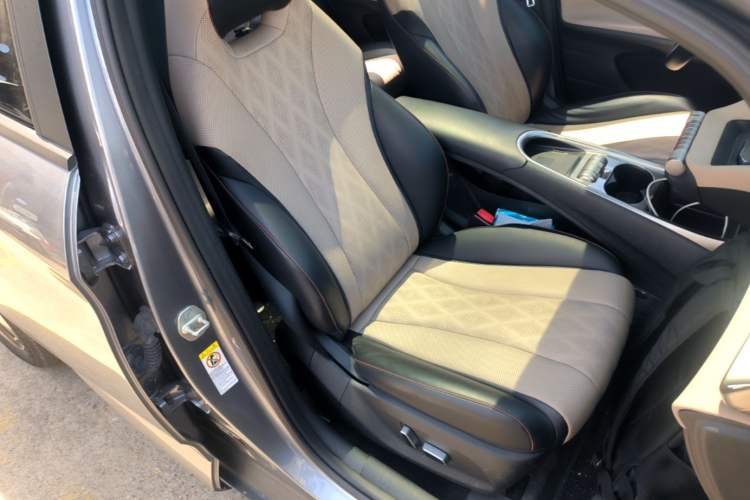 Used BYD Dolphin 2023 420 km Fashion Edition Right Front Seat