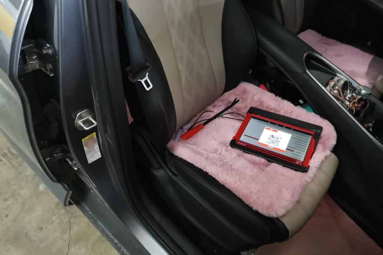 Used BYD Dolphin 2023 420 km Free Version Right Front Seat