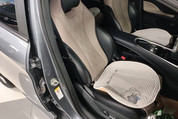 Used BYD Dolphin 2023 420 km Fashion Edition Right Front Seat
