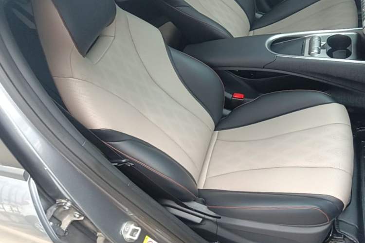 Used BYD Dolphin 2023 420 km Free Version Right Front Seat