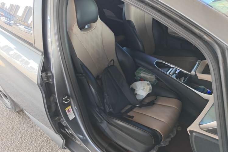 Used BYD Dolphin 2023 420 km Free Version Right Front Seat