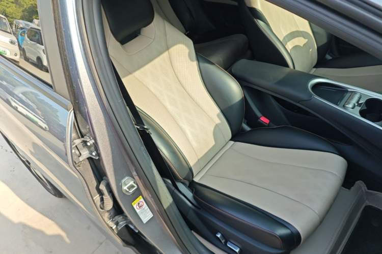 Used BYD Dolphin 2023 420 km Fashion Edition Right Front Seat