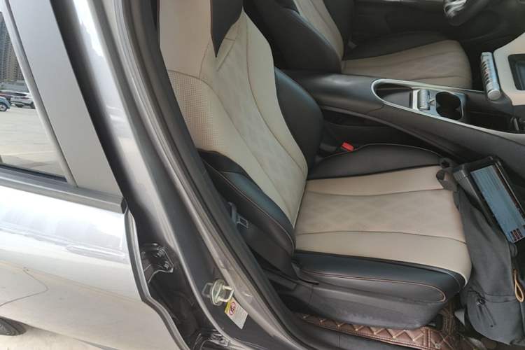 Used BYD Dolphin 2023 420 km Free Version Right Front Seat