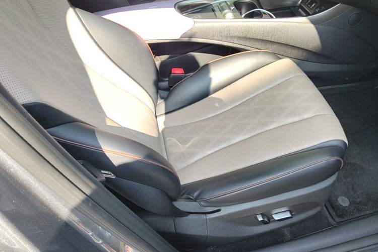 Used BYD Dolphin 2023 420 km Fashion Edition Right Front Seat