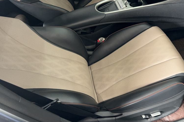 Used BYD Dolphin 2023 420 km Fashion Edition Right Front Seat