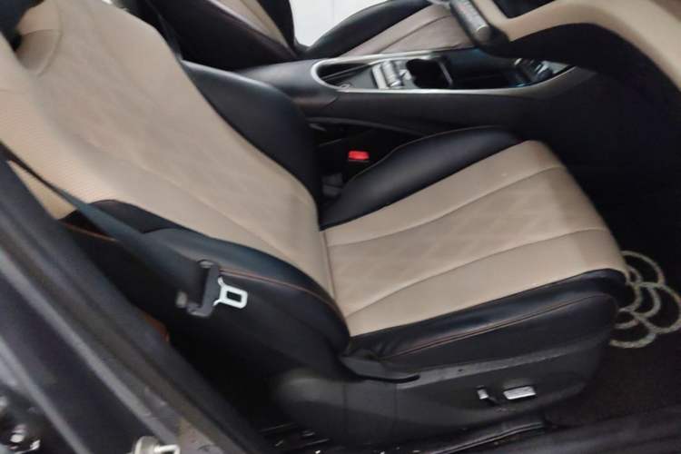 Used BYD Dolphin 2023 420 km Fashion Edition Right Front Seat