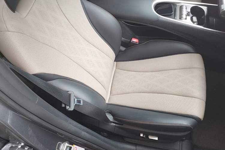 Used BYD Dolphin 2023 420 km Fashion Edition Right Front Seat