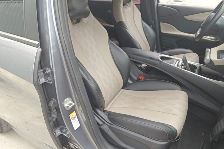 Used BYD Dolphin 2023 420 km Free Version Right Front Seat