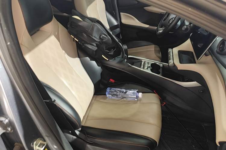 Used BYD Dolphin 2023 420 km Fashion Edition Right Front Seat