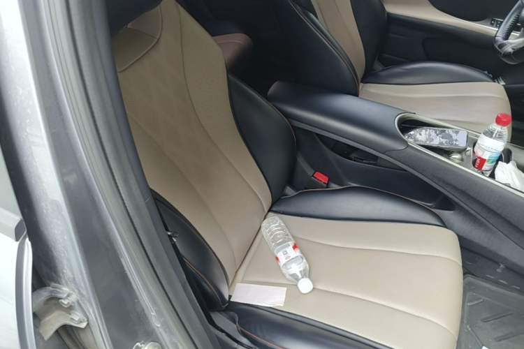 Used BYD Dolphin 2023 420 km Fashion Edition Right Front Seat