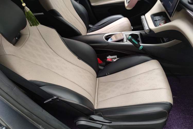 Used BYD Dolphin 2023 420 km Free Version Right Front Seat
