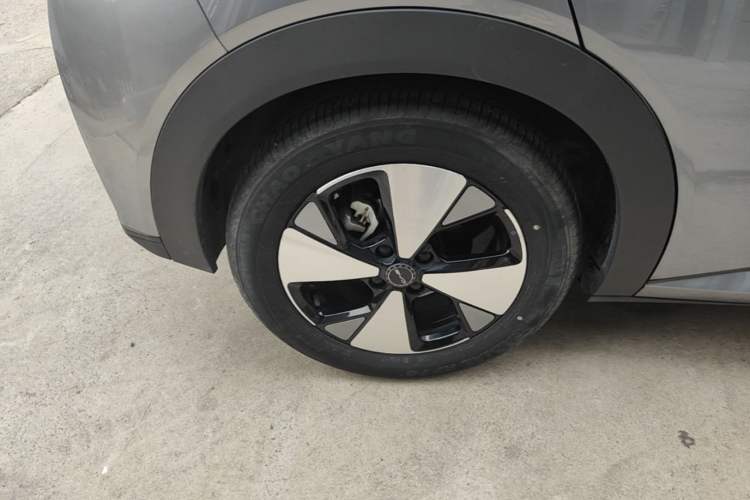 Used BYD Dolphin 2023 420 km Fashion Edition Right Rear Wheel Hub