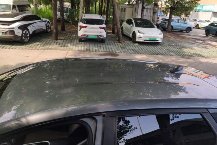 Used BYD Dolphin 2023 420 km Free Version Roof