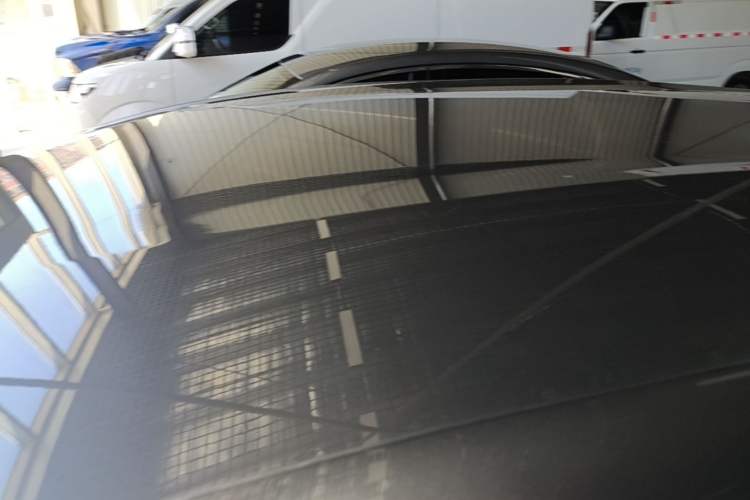 Used BYD Dolphin 2023 420 km Free Version Roof