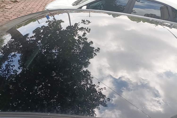 Used BYD Dolphin 2023 420 km Fashion Edition Roof