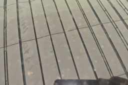 Thumbnail 11