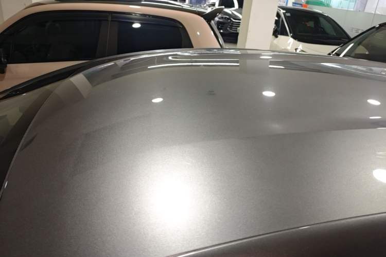 Used BYD Dolphin 2023 420 km Free Version Roof