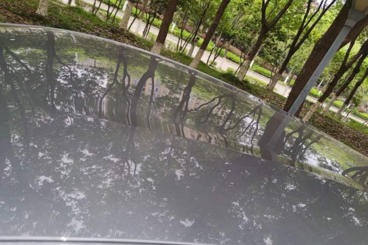 Used BYD Dolphin 2023 420 km Free Version Roof