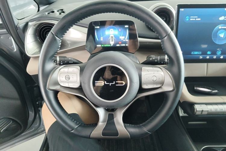 Used BYD Dolphin 2023 420 km Free Version Steering Wheel