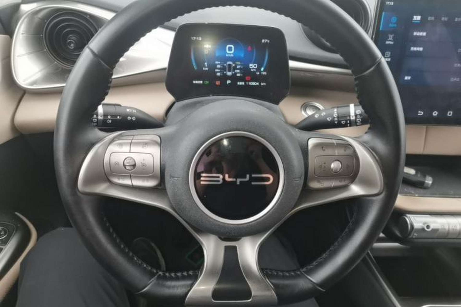Used BYD Dolphin 2023 420 km Free Version Steering Wheel