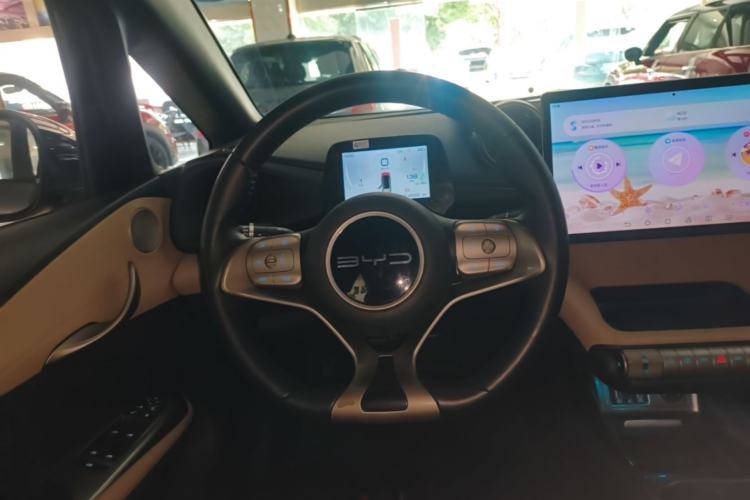 Used BYD Dolphin 2023 420 km Free Version Steering Wheel