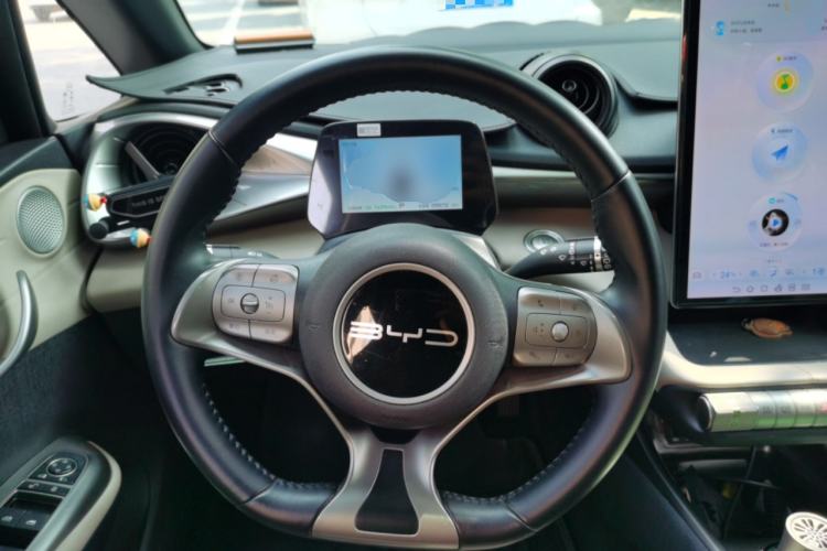 Used BYD Dolphin 2023 420 km Free Version Steering Wheel