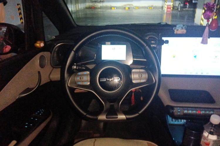 Used BYD Dolphin 2023 420 km Free Version Steering Wheel