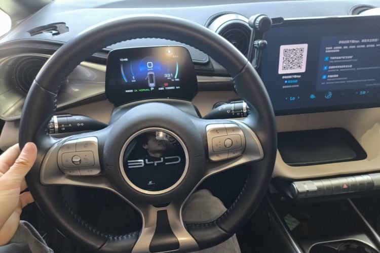 Used BYD Dolphin 2023 420 km Free Version Steering Wheel
