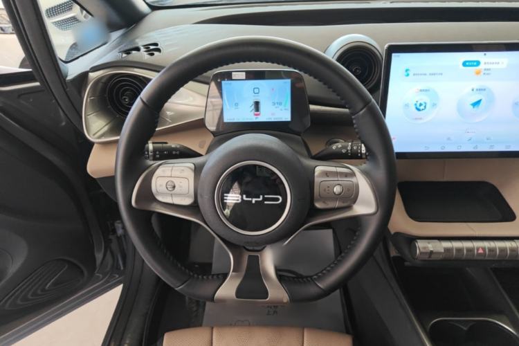 Used BYD Dolphin 2023 420 km Free Version Steering Wheel
