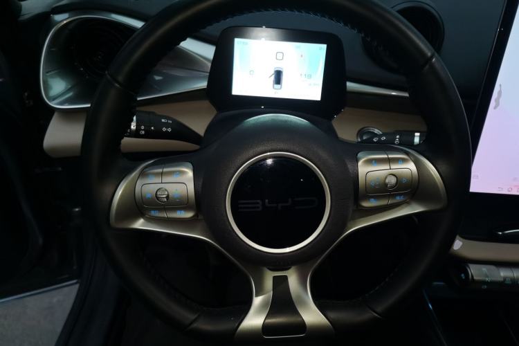 Used BYD Dolphin 2023 420 km Free Version Steering Wheel