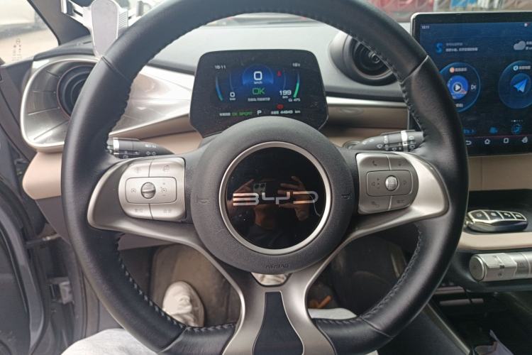 Used BYD Dolphin 2023 420 km Free Version Steering Wheel