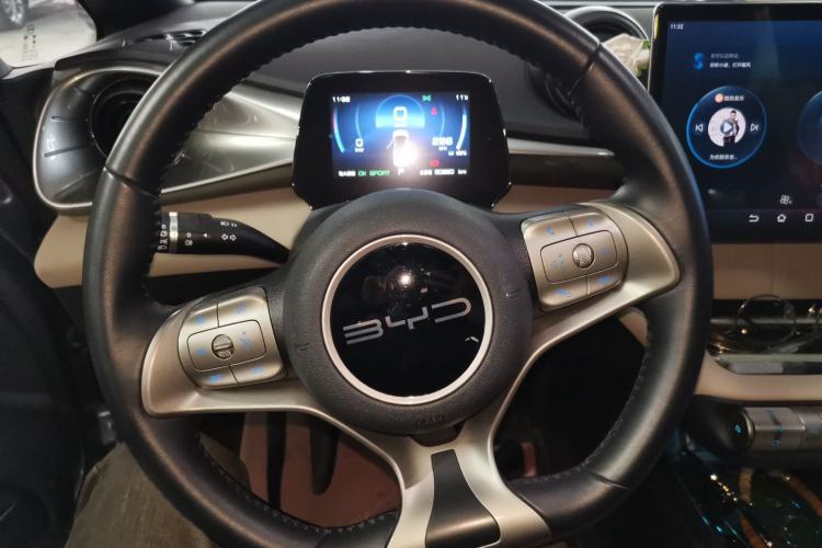 Used BYD Dolphin 2023 420 km Free Version Steering Wheel