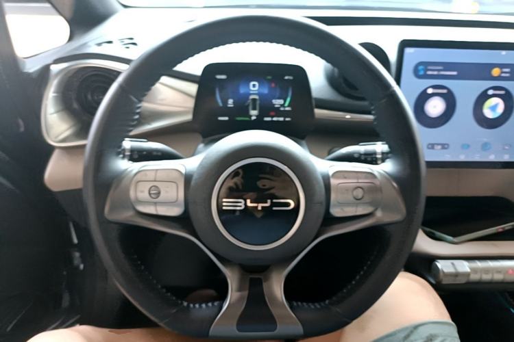 Used BYD Dolphin 2023 420 km Fashion Edition Steering Wheel