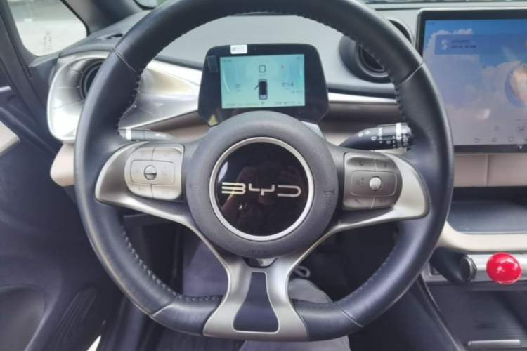 Used BYD Dolphin 2023 420 km Free Version Steering Wheel
