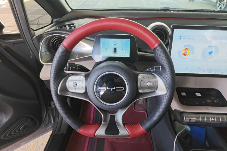 Used BYD Dolphin 2023 420 km Free Version Steering Wheel