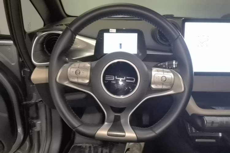 Used BYD Dolphin 2023 420 km Free Version Steering Wheel