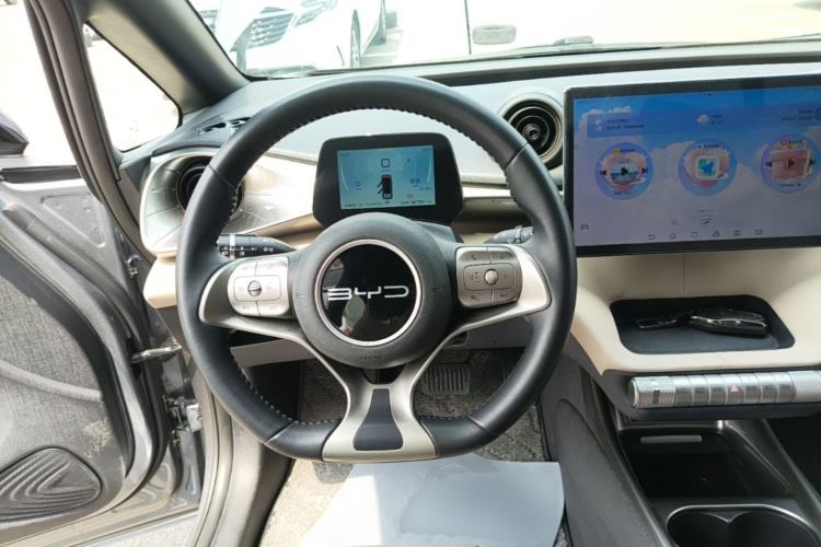 Used BYD Dolphin 2023 420 km Free Version Steering Wheel
