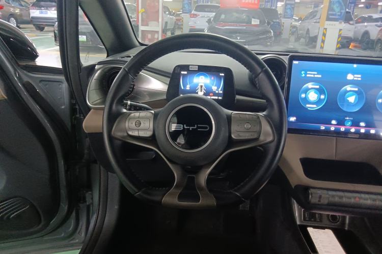 Used BYD Dolphin 2023 420 km Free Version Steering Wheel