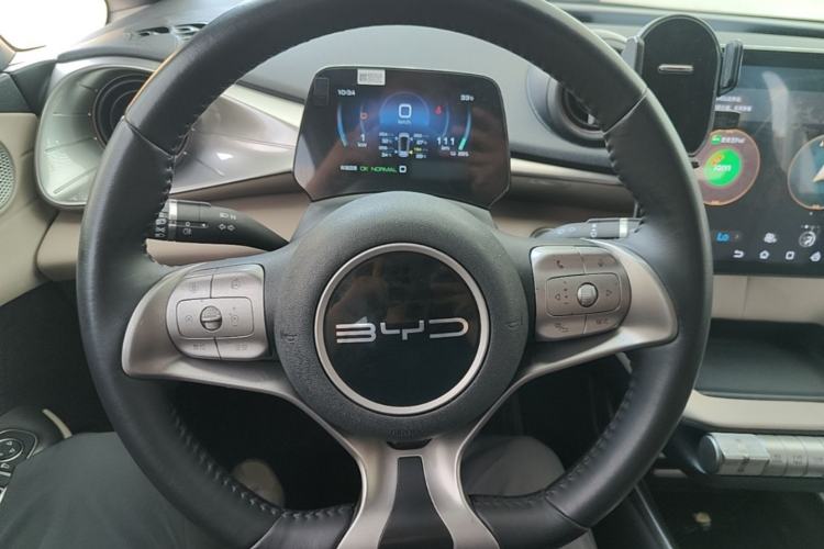 Used BYD Dolphin 2023 420 km Free Version Steering Wheel