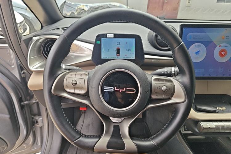 Used BYD Dolphin 2023 420 km Free Version Steering Wheel