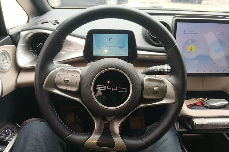 Used BYD Dolphin 2023 420 km Free Version Steering Wheel