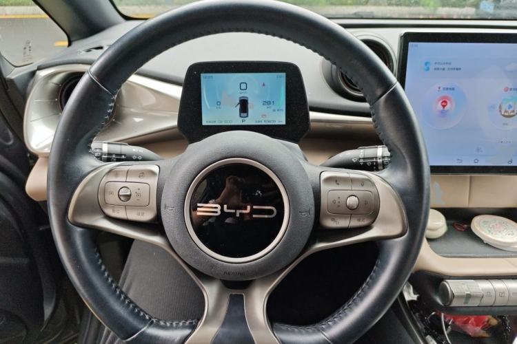 Used BYD Dolphin 2023 420 km Free Version Steering Wheel