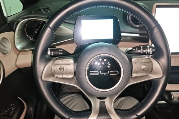 Used BYD Dolphin 2023 420 km Free Version Steering Wheel