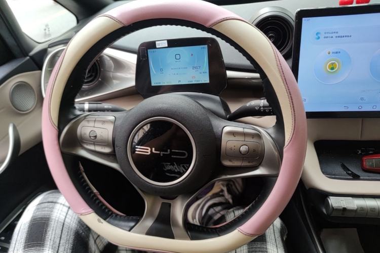 Used BYD Dolphin 2023 420 km Free Version Steering Wheel