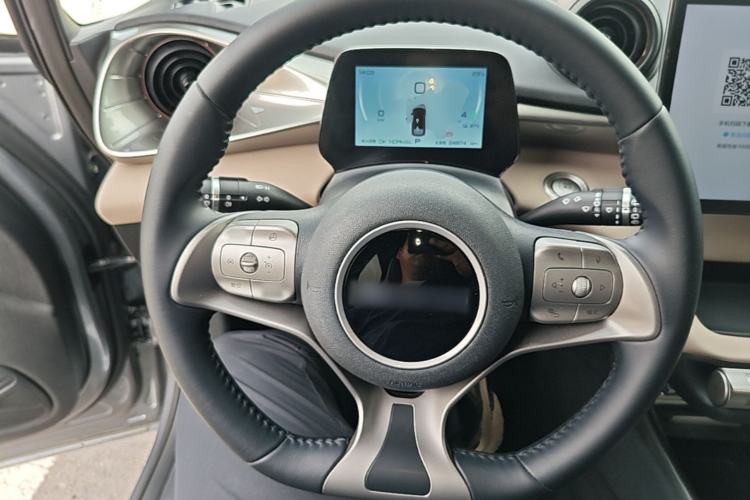 Used BYD Dolphin 2023 420 km Fashion Edition Steering Wheel