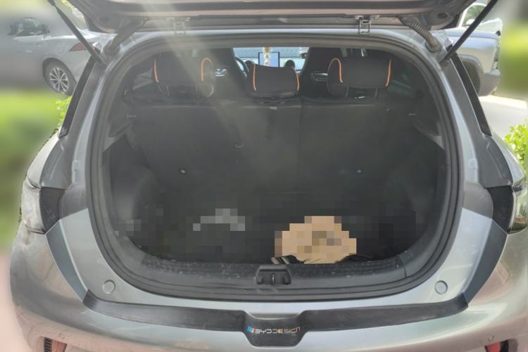 Used BYD Dolphin 2023 420 km Fashion Edition Trunk