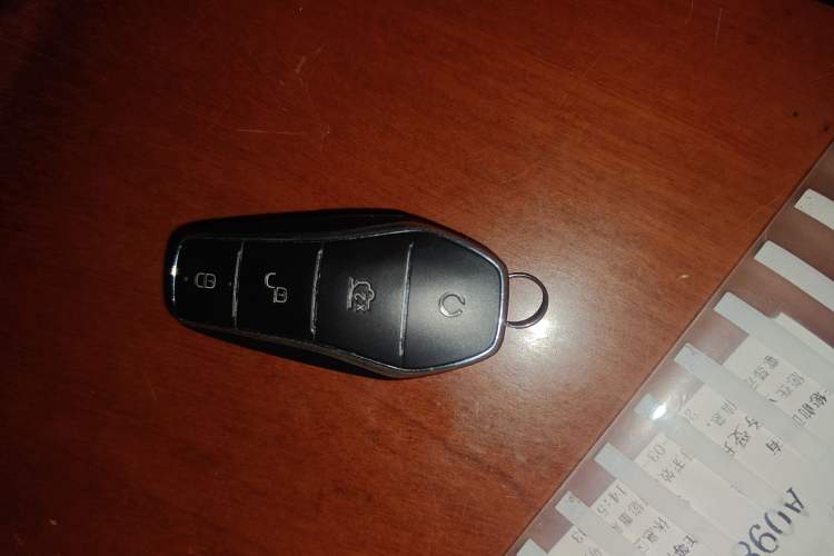 Used BYD Dolphin 2023 420 km Fashion Edition Vehicle Key