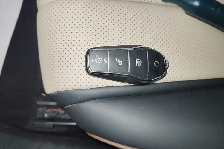 Used BYD Dolphin 2023 420 km Free Version Vehicle Key