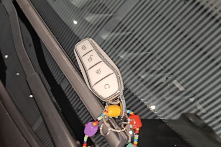 Used BYD Dolphin 2023 420 km Fashion Edition Vehicle Key