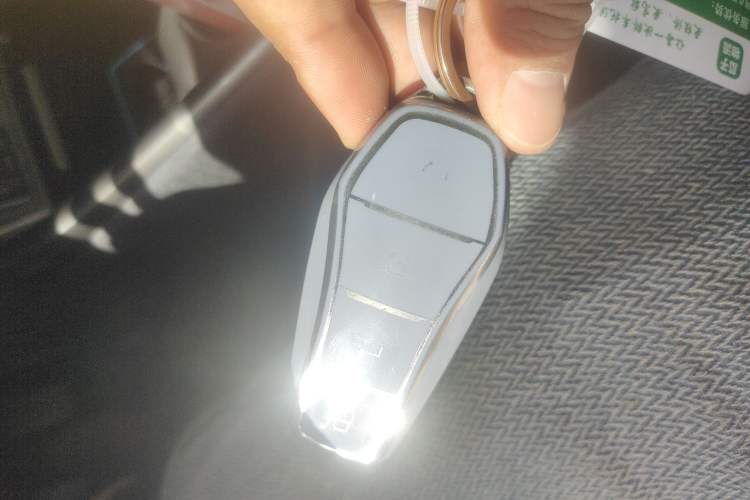 Used BYD Dolphin 2023 420 km Fashion Edition Vehicle Key